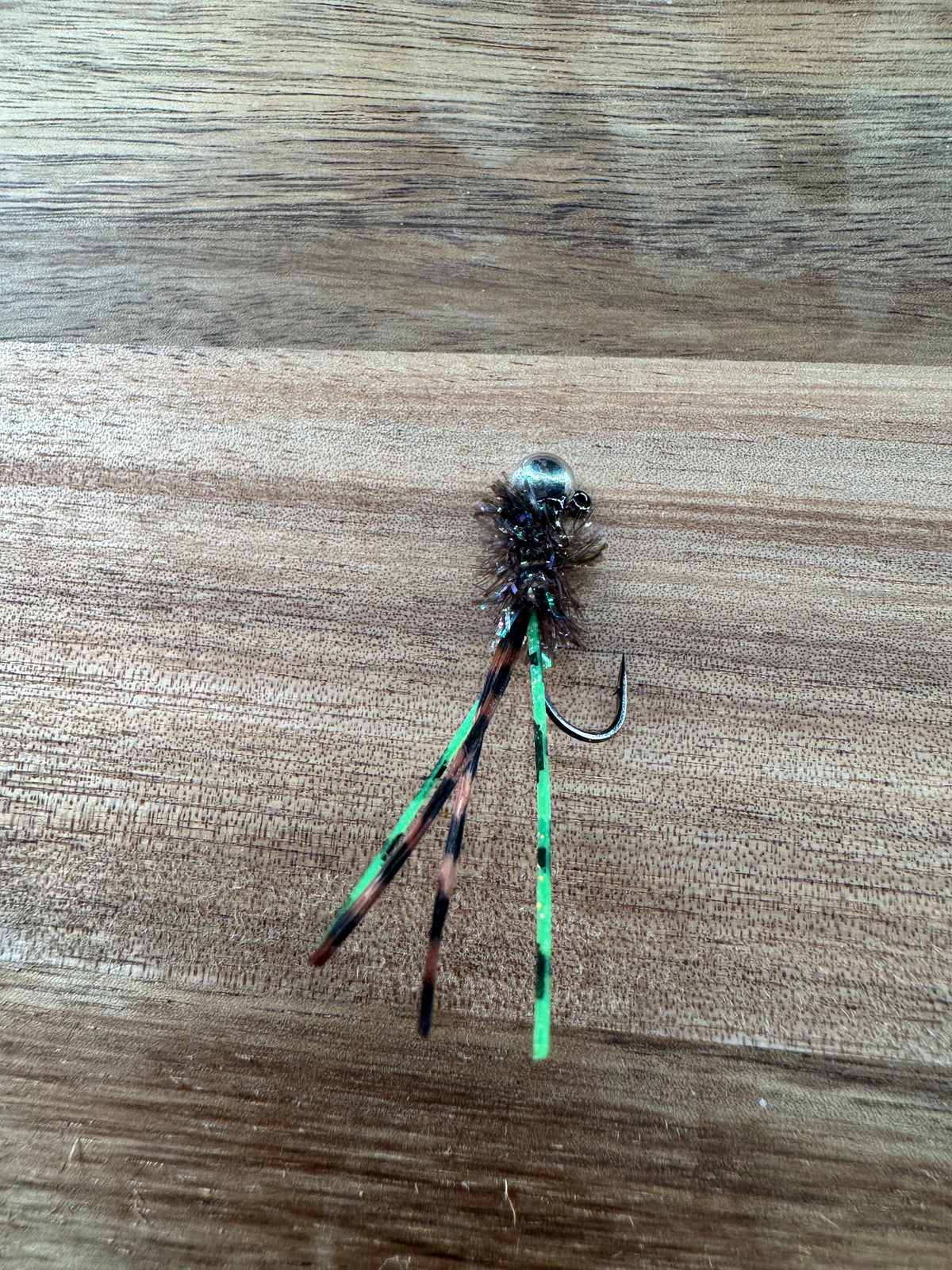 Grass Hopper Bug