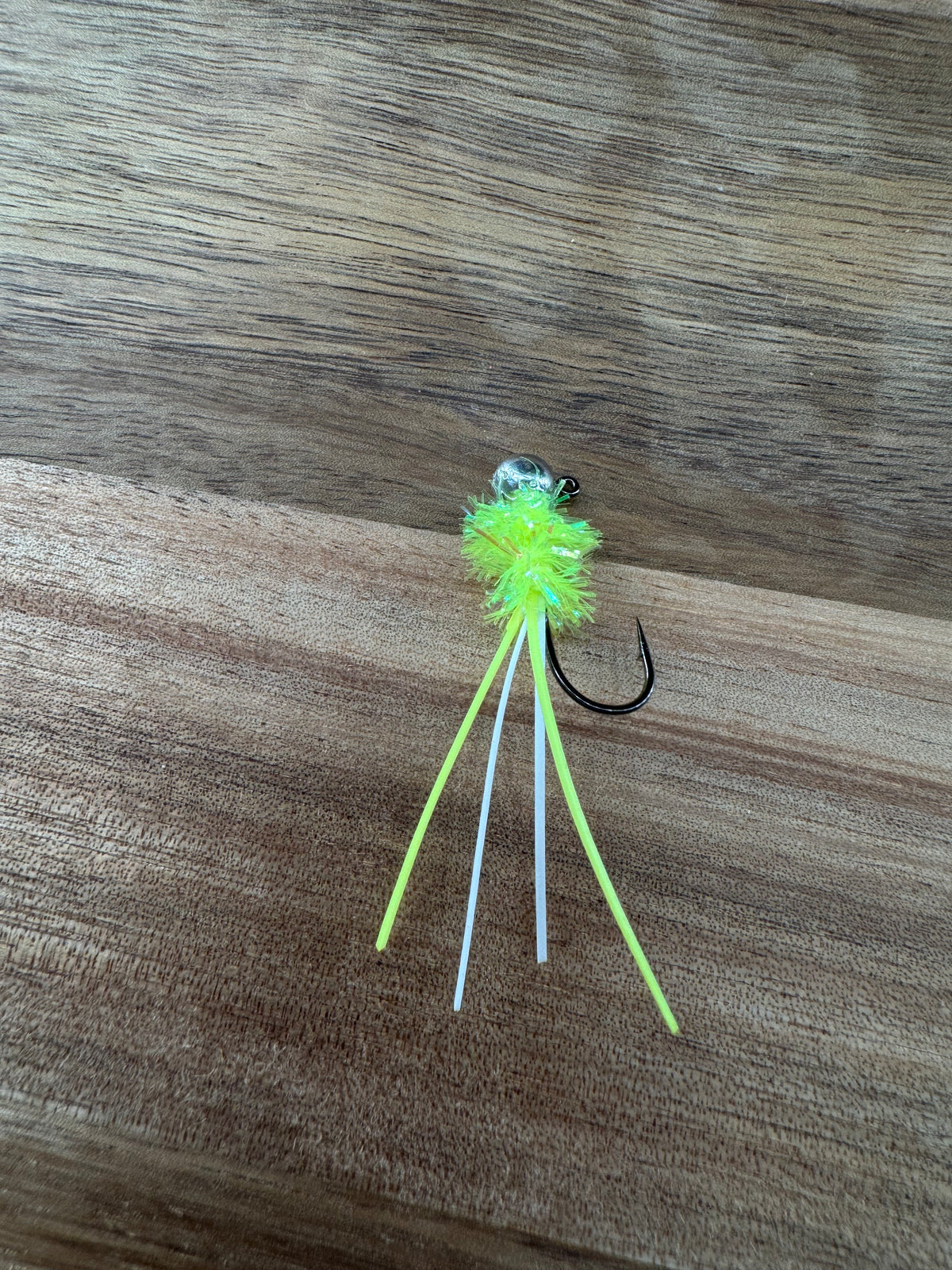 Dirty Dan Bug