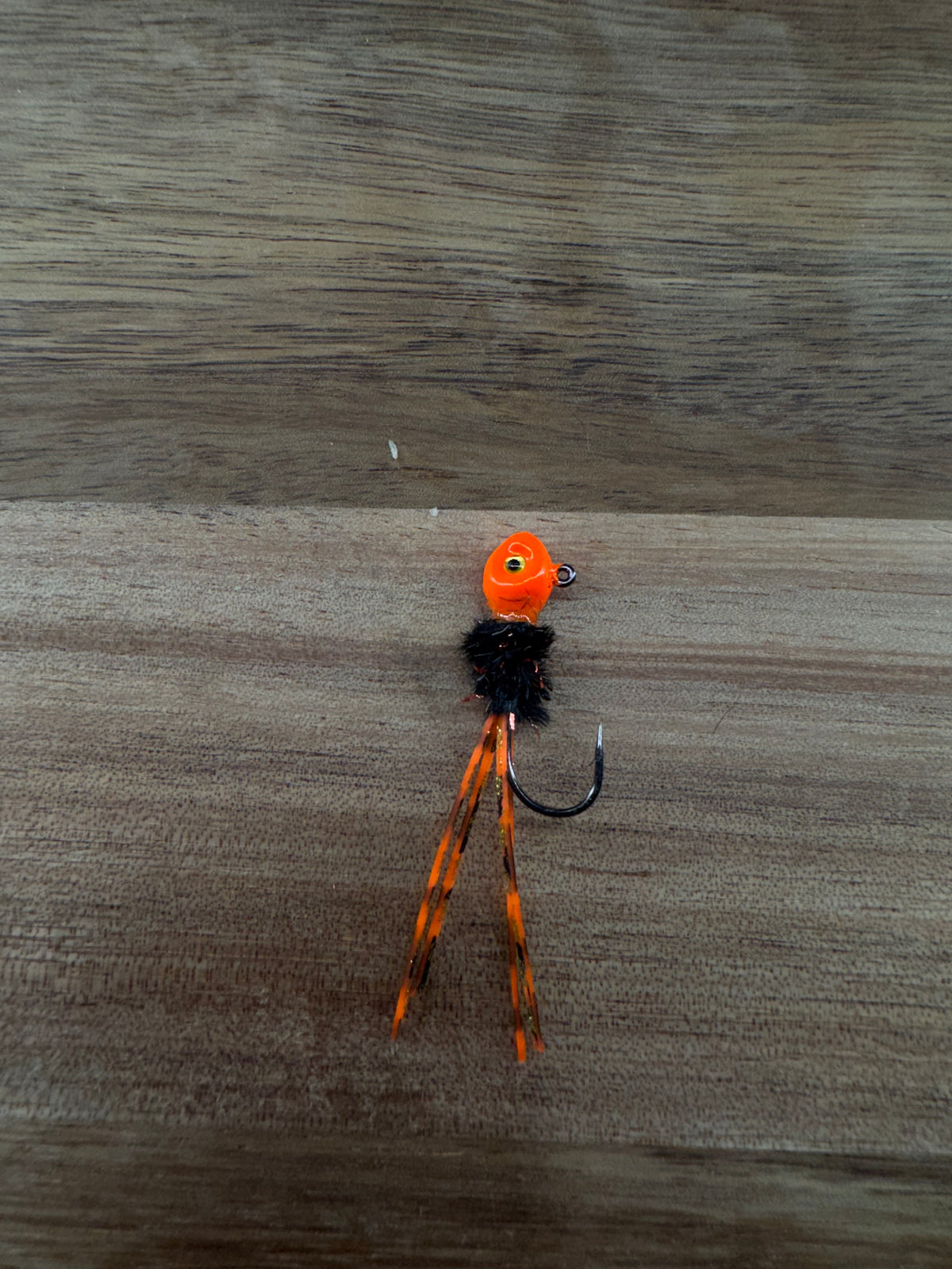 Jack O Lantern Bug