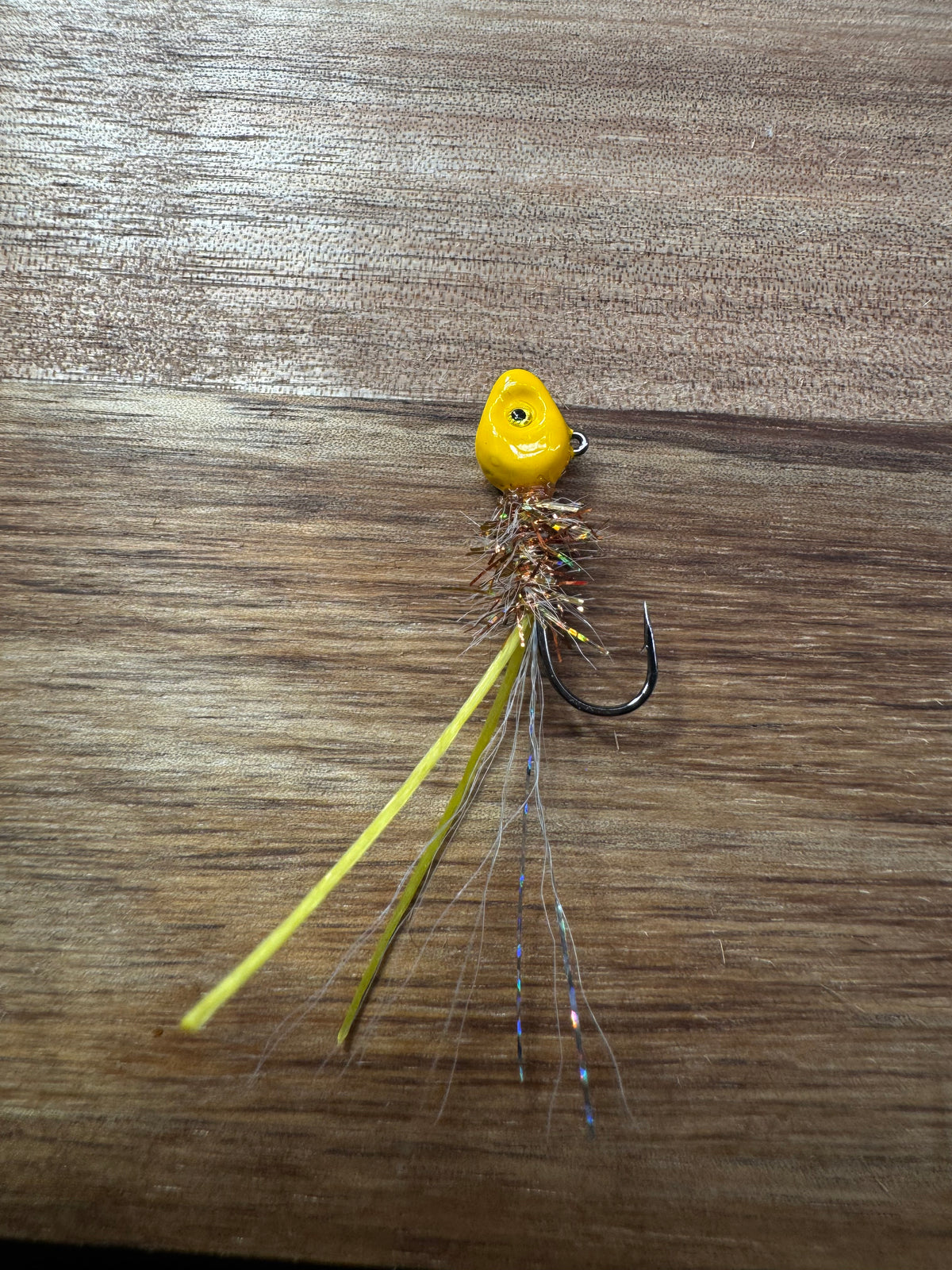 Golden Shiner Bug