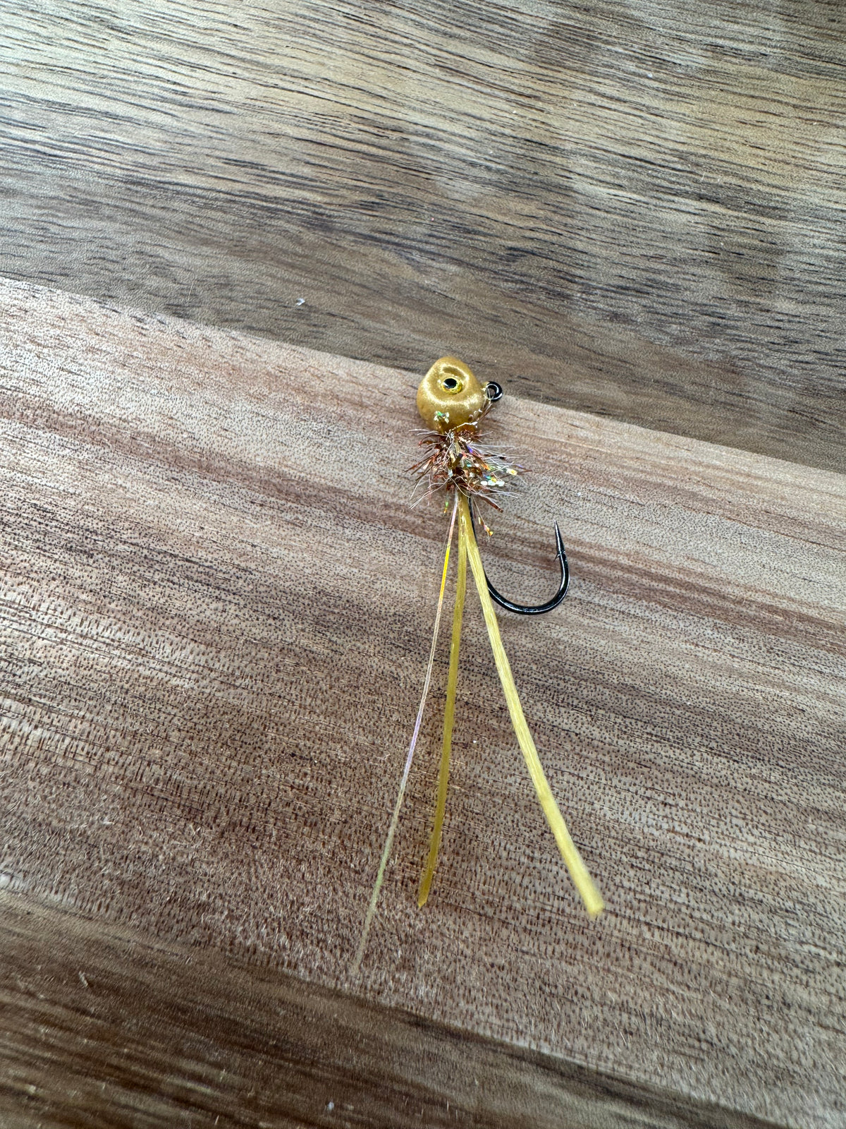 Gold Nugget Bug