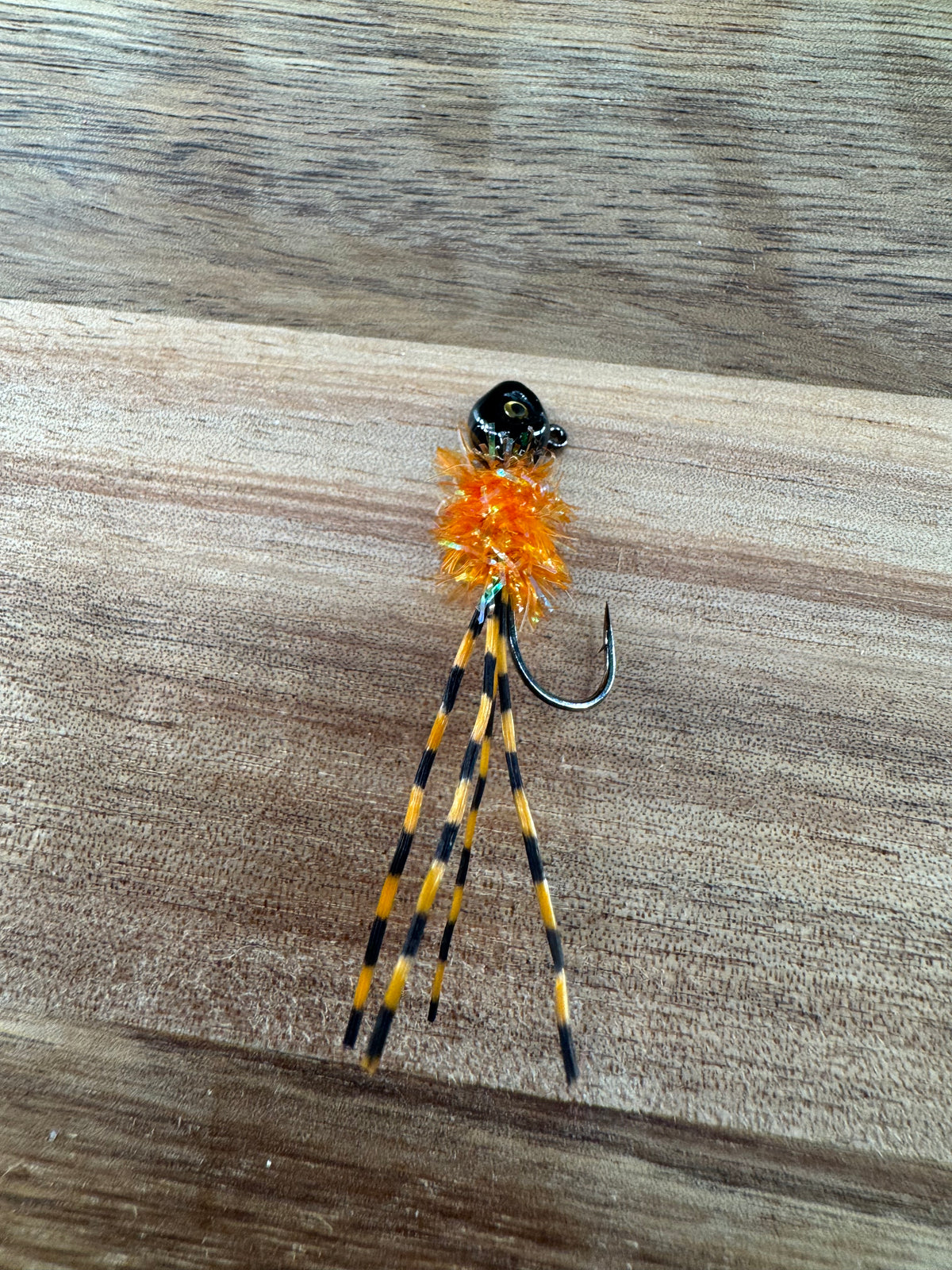 Jack O Lantern Bug