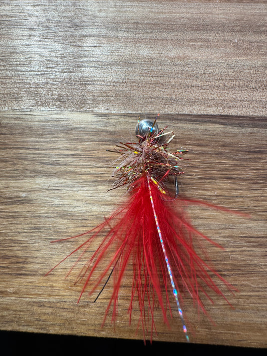 Fire Cracker Bug