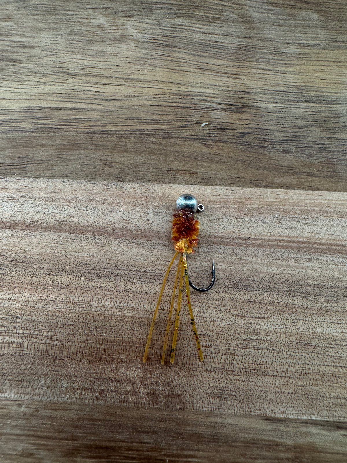 Mealworm Bug
