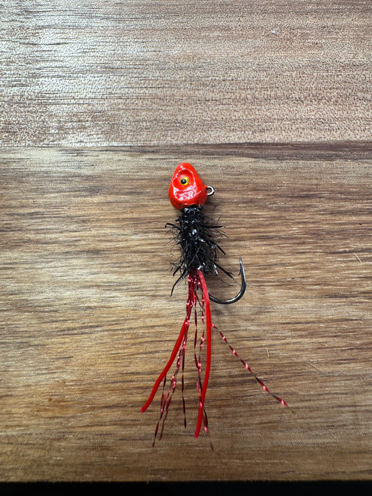 Black Widow Bug