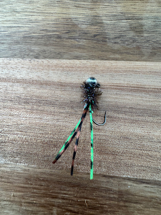 Grass Hopper Bug