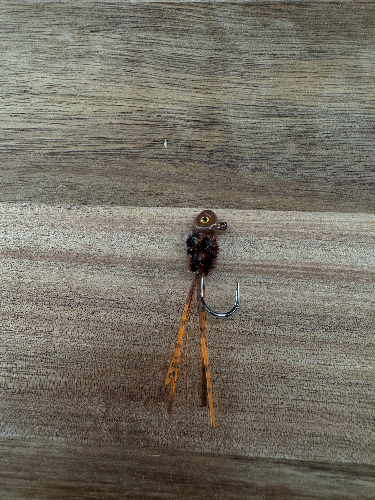 Rotten Pumpkin Bug