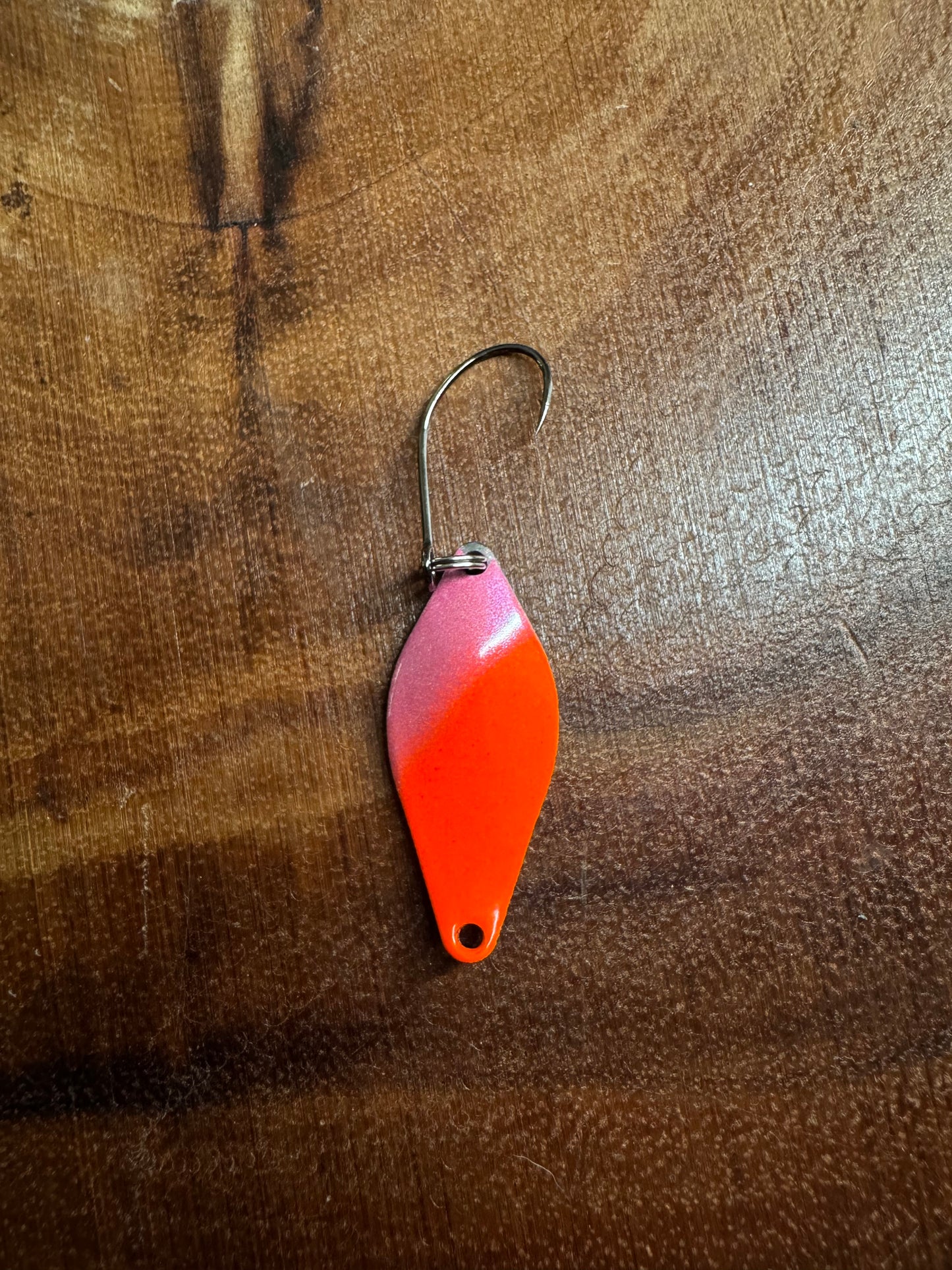Salmon Egg