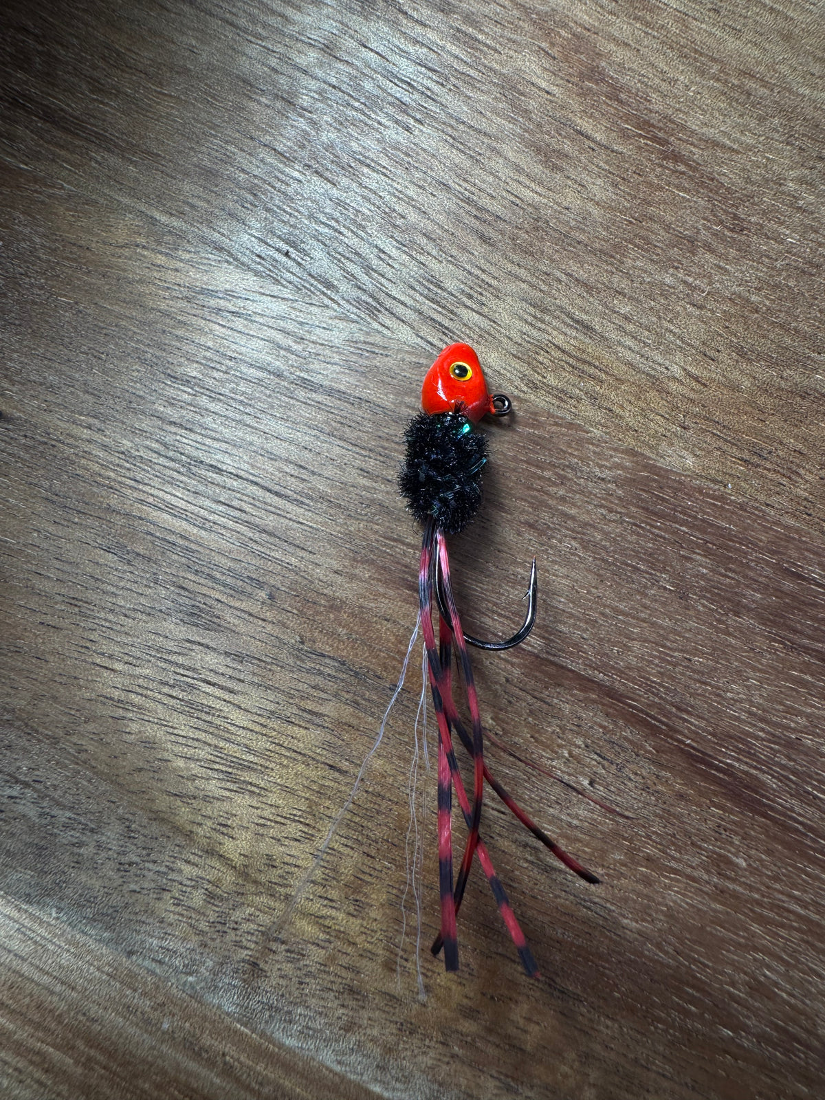Black Widow Bug