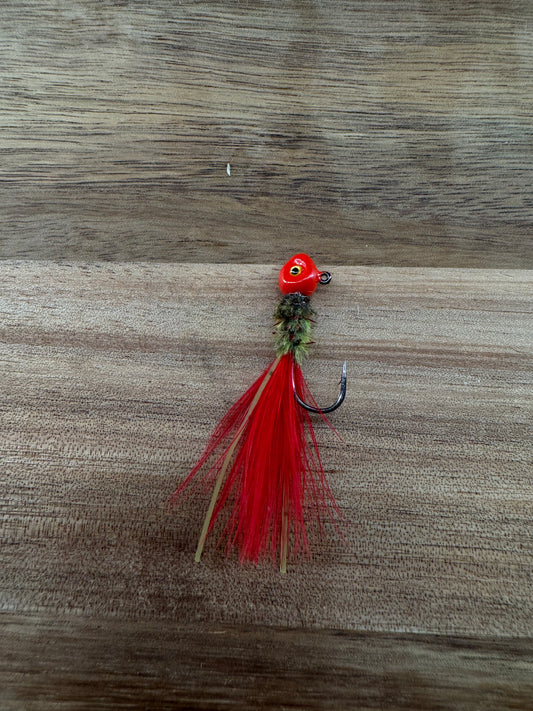 Watermelon Bug