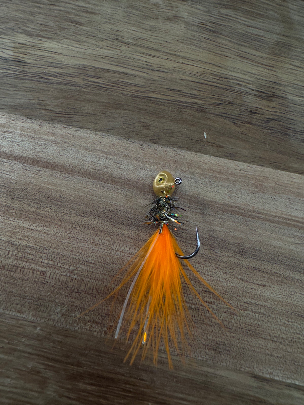 Koi Fish Bug