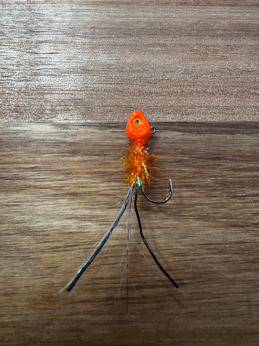 Jack O Lantern Bug
